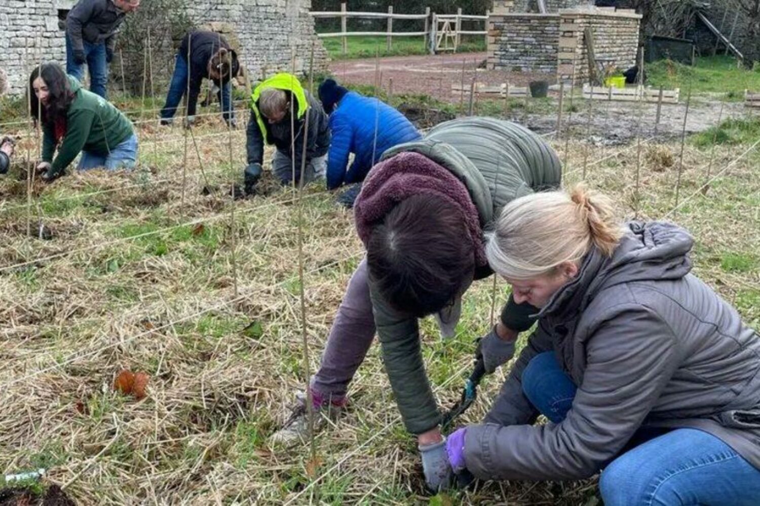 ©Nolwenn Le Jeune/Radio France/Maxppp - Nolwenn Le Jeune / Radio France / Maxppp,  Calvados 14/12/2021
Les micro-forêts peuvent-elles être une réponse au réchauffement climatique en milieu urbain ? L'expérience est tentée dans le Calvados, à Colombiers-sur-Seulles où la plus petite micro-forêt urbaine vient d'être plantée. Cet écosystème implanté en milieu urbain peut avoir bien des vertus. *** Local Caption *** France Bleu Normandie